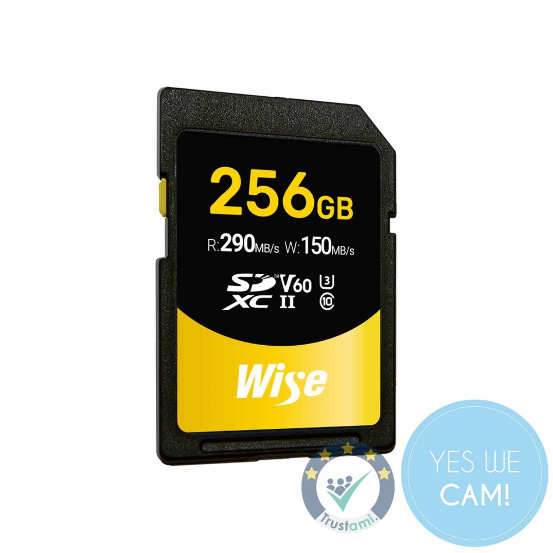 Wise 256 GB SDXC UHS-II V60 Speicherkarte mit V60-Logo für professionelle Aufnahmen