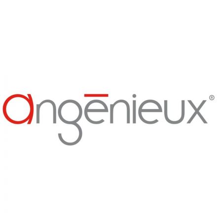 Angenieux PL-Mount für EZ-1 und EZ-2 Objektiv