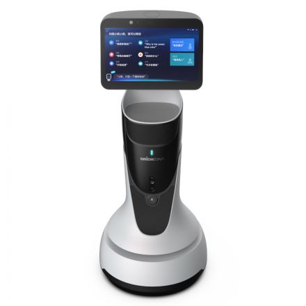 OrionStar GreetingBot Mini EDU