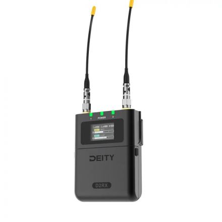 DEITY THEOS D2RX Dual-Channel Wireless
