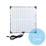 Amaran F22x LED Bi-Color