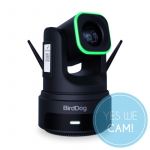 BirdDog X4 Ultra Black Livestream