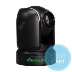 BirdDog 3x P4K Black und 1x FREE PTZ Keyboard Kamera