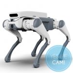 DEEP Robotics SID1 Pro Bionische Technologie