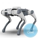 DEEP Robotics SID1 Venture AI Roboterhund
