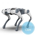 DEEP Robotics SID1 Baisc Roboterdog