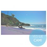 Fusion Visual Effects mit DaVinci Resolve Lernkurs Activation Code