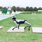 Magicdog Pro Roboterhund steht allein auf Steinplatte im Gartenbereich neben Pool