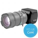 Marshall CV346 HD Mini Kamera Automatische Gainkontrolle