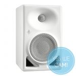 Neumann KH 120 II W Studiomonitor