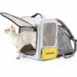 PETKIT Breezy X-Zone Katzen-Reisetasche Grau, Faltbar