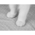 PETKIT Hochleistungskatzenstreu Matte, kratzfest