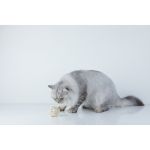 PETKIT Katzenstreu mix Occult Bluttest 4 Beutel, Umweltfreundich