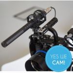 RØDE NTG4+ Kondensator-Mikrofon lange Laufzeit