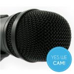 Sennheiser MD 46 Mikrofon - Nahaufnahme Mikrofonkorb