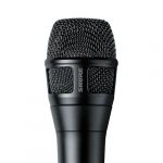 Shure Nexadyne™ 8/S Dynamisches Gesangsmikrofon - Schwarz XLR