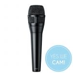 Shure Nexadyne™ 8/S Dynamisches Gesangsmikrofon - Schwarz Supernierencharakteristik