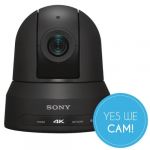 Sony BRC-X400 (schwarz) 70-Grad-Weitwinkelabdeckung