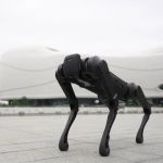 Unitree B1 Robot Dog Öffentlichkeit