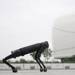 Unitree B1 Robot Dog Robo-Dog