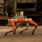 Unitree B1 Robot Dog Roboter Hund