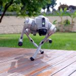 Der vierbeinige Unitree Go2 Roboter führt im Freien eine dynamische Balancebewegung auf einer hölzernen Plattform aus, mit grüner Rasenfläche und Bäumen im Hintergrund.