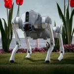 Der vierbeinige Unitree Go2 Roboter steht auf einer Wiese zwischen großen Tulpen und Pflanzen, mit sichtbar angewinkelten Beinen und Sensorik an der Front.