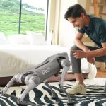 Eine Person sitzt neben einem Bett und interagiert lächelnd mit dem vierbeinigen Unitree Go2 Roboter, der im Schlafzimmer auf einem Teppich steht; im Hintergrund große Fenster mit Blick ins Grüne.