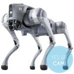 Unitree Go2 Pro quadruped Roboter in frontaler Ansicht, mit vier gelenkigen Beinen, grauem Gehäuse und sichtbarer Sensorik an der Front.