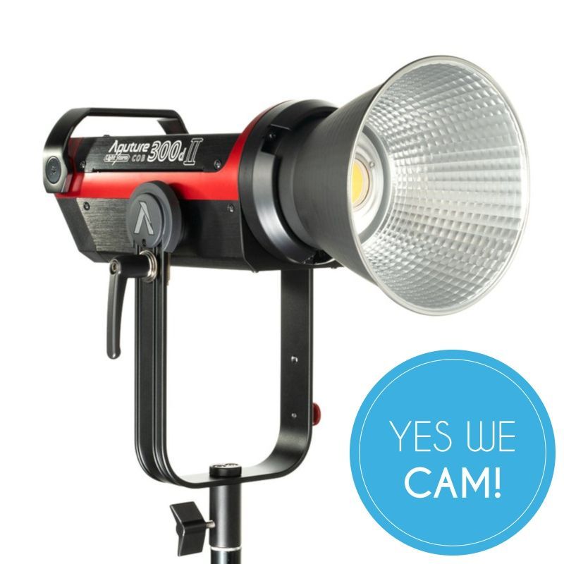 Aputure Light Storm C300d MKII kaufen