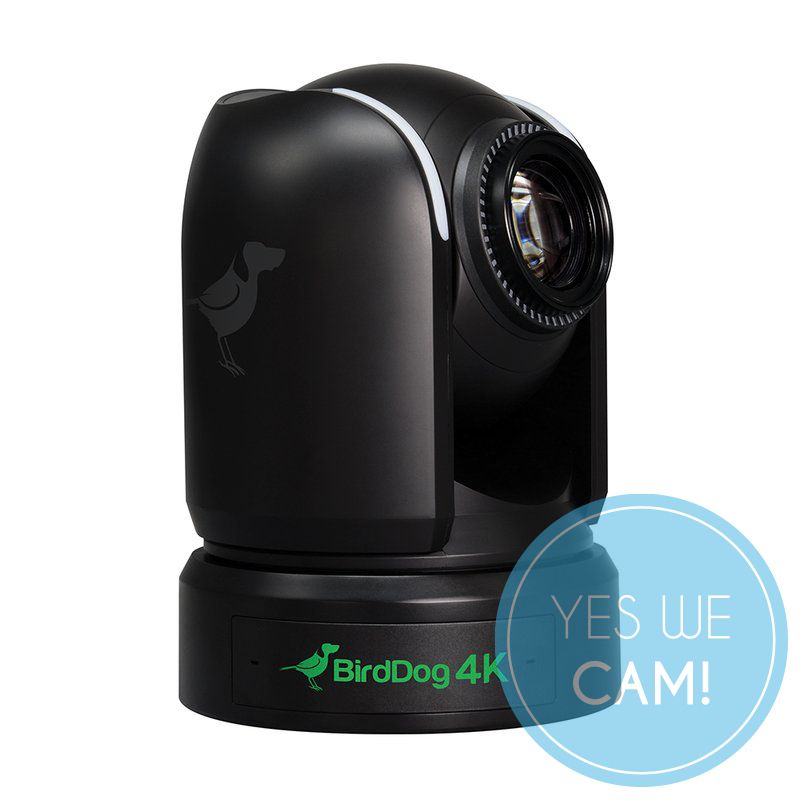 BirdDog 3x P4K Black und 1x FREE PTZ Keyboard Kamera