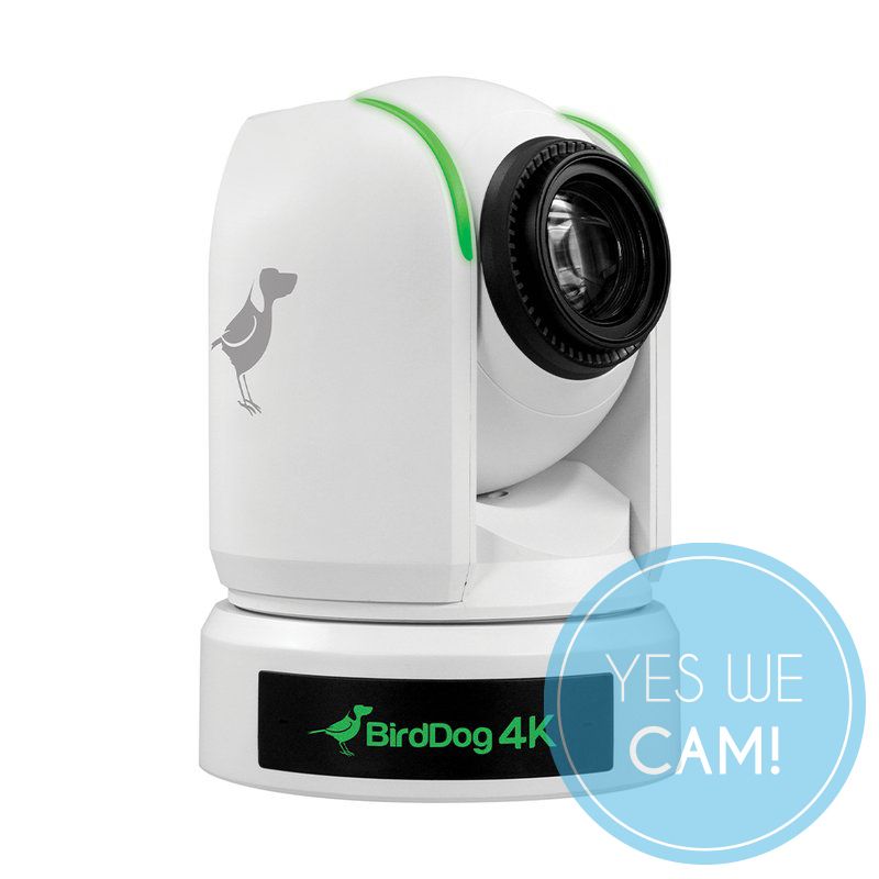 BirdDog 3x P4K White und 1x FREE PTZ Keyboard Kamera