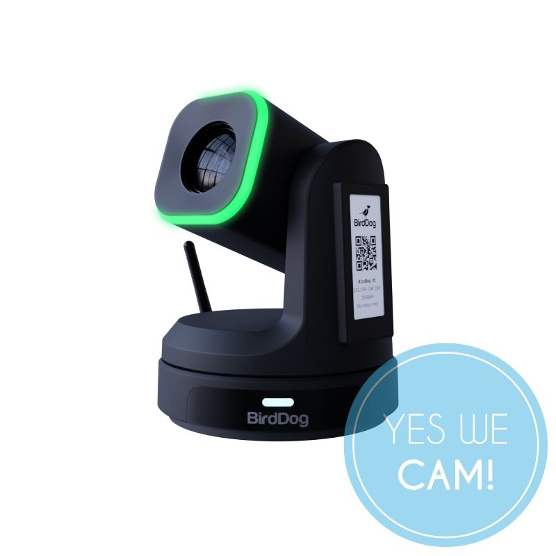 BirdDog X1 Black PTZ-Kamera