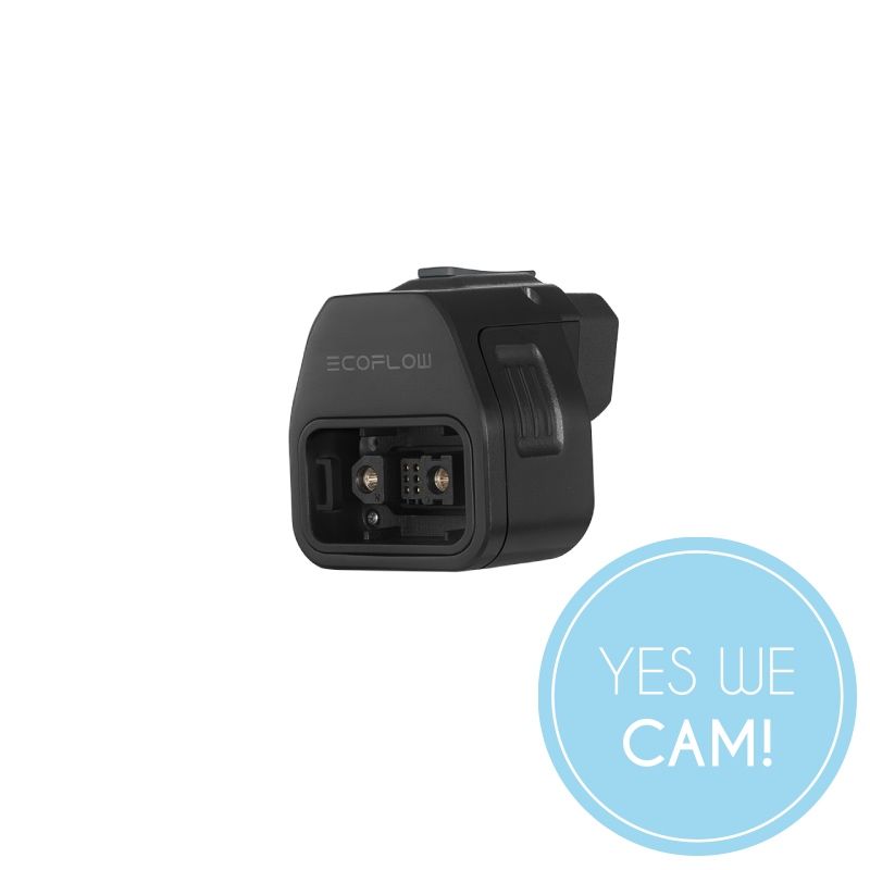 EcoFlow DELTA Pro auf Smart Generator Adapter Zubehör