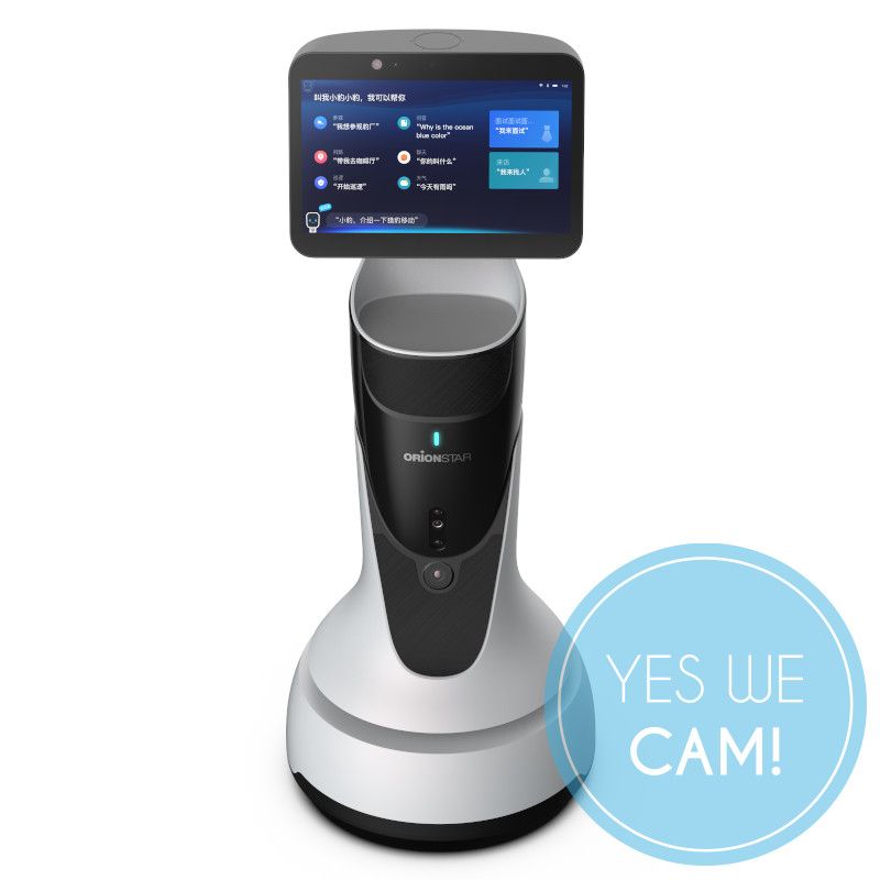 OrionStar GreetingBot Mini kaufen