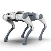 DEEP Robotics SID1 Baisc Echtzeit-Übertragung